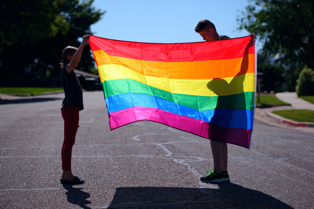 St. Louis Skyline Pride Flag - 3 x 5